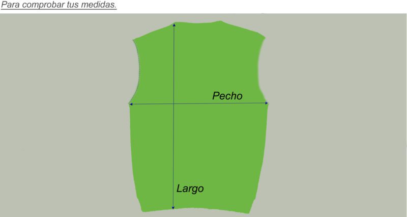 Pet Breed: Chaleco Lacoste.     T-L