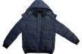 Pet Breed: Chaqueta Lacoste.     T-L
