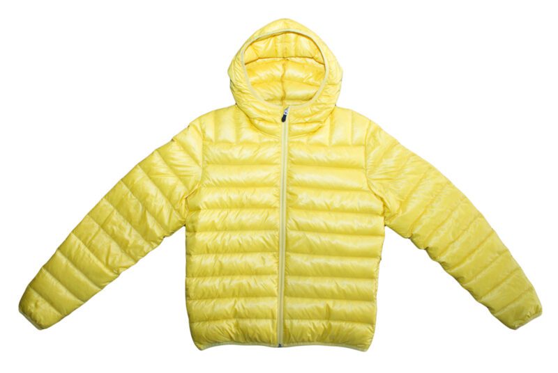 Pet Breed: Chaqueta Lacoste.     T-S