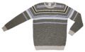 Pet Breed: Saco Lacoste.     T-L