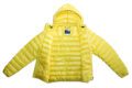 Pet Breed: Chaqueta Lacoste.     T-S