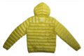 Pet Breed: Chaqueta Lacoste.     T-S