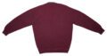 Pet Breed: Saco Lacoste.     T-M