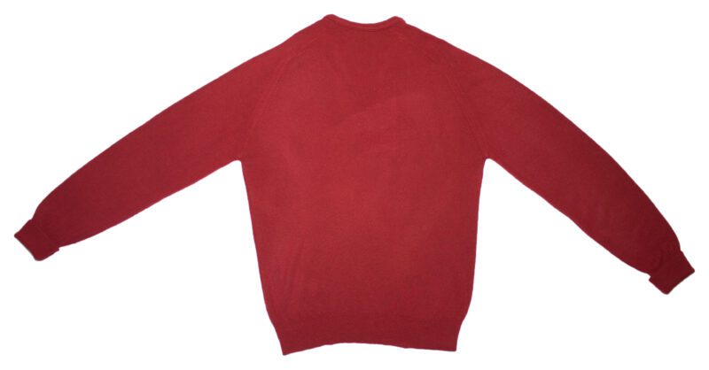 Pet Breed: Saco Lacoste.     T-M