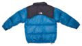 Pet Breed: Chaqueta The North Face.     T-S