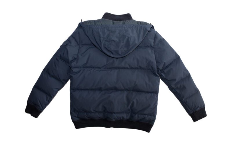 Pet Breed: Chaqueta Lacoste.     T-L