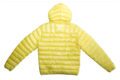 Pet Breed: Chaqueta Lacoste.     T-S