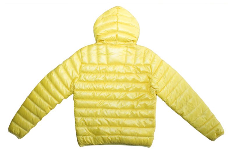 Pet Breed: Chaqueta Lacoste.     T-S