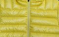Pet Breed: Chaqueta Lacoste.     T-S