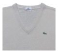 Pet Breed: Saco Lacoste.     T-L