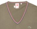 Pet Breed: Saco Lacoste.     T-L